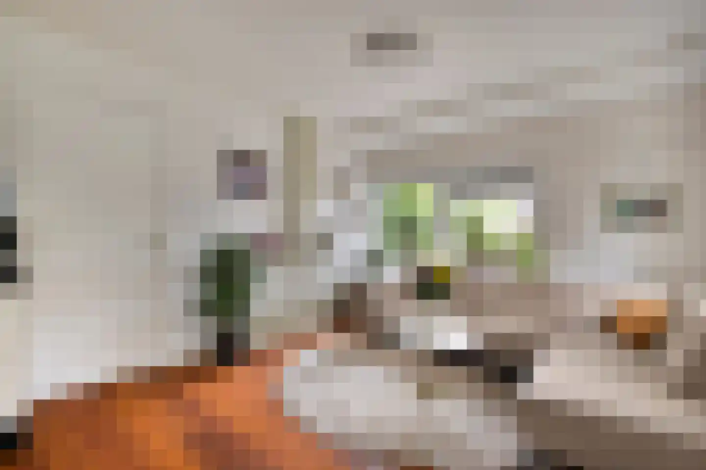 Lessinglaan 11 A Utrecht thumbnail 7