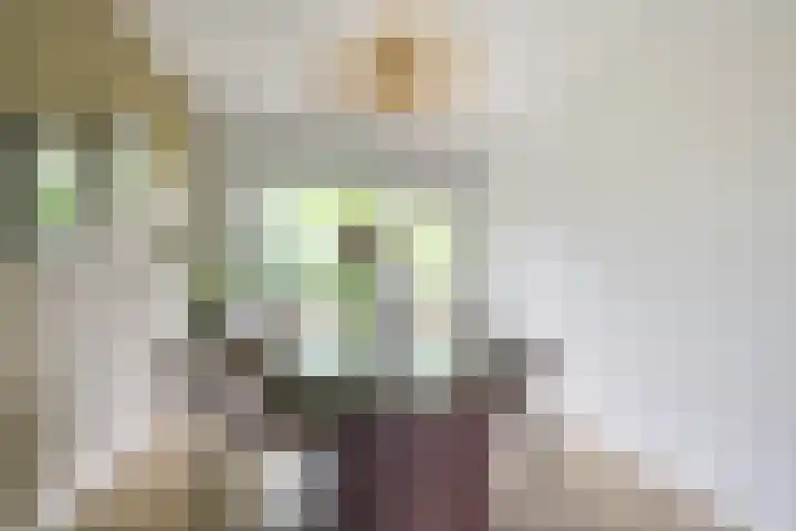 Lessinglaan 3 1 Utrecht thumbnail 13