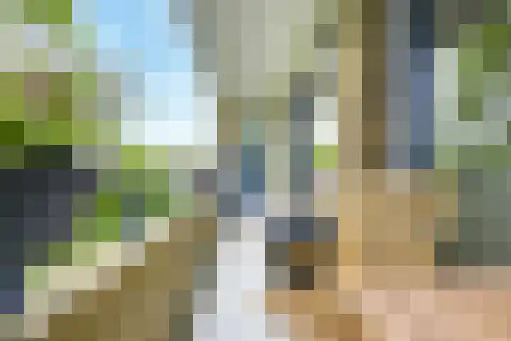 Lessinglaan 3 1 Utrecht thumbnail 17