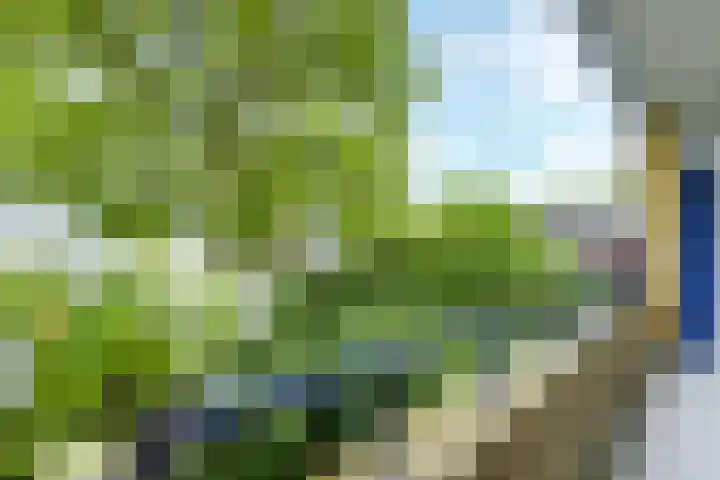 Lessinglaan 3 1 Utrecht thumbnail 23