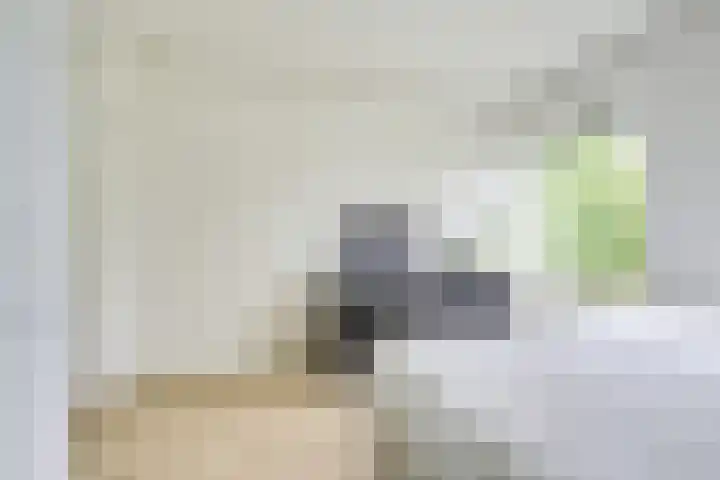 Lessinglaan 3 1 Utrecht thumbnail 26
