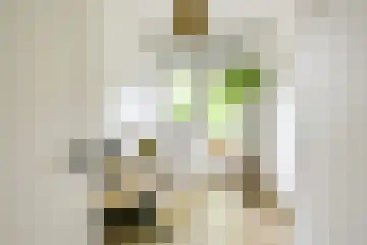 Lessinglaan 3 1 Utrecht thumbnail 27