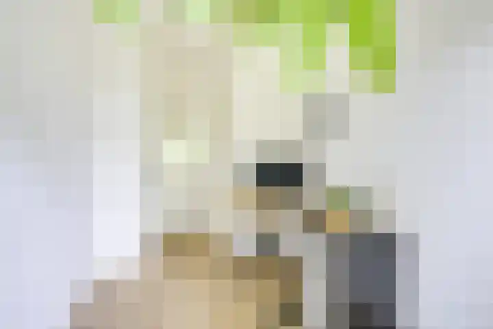 Lessinglaan 3 1 Utrecht thumbnail 28