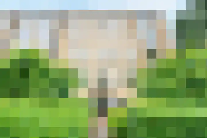 Lessinglaan 3 1 Utrecht thumbnail 4