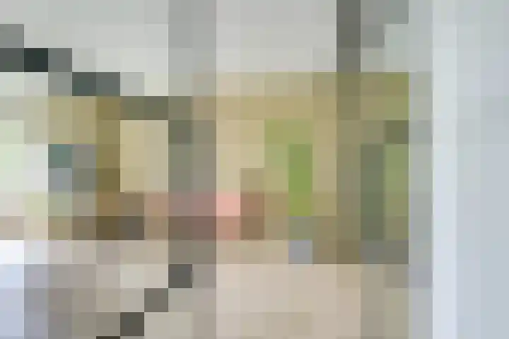 Lessinglaan 3 1 Utrecht thumbnail 6