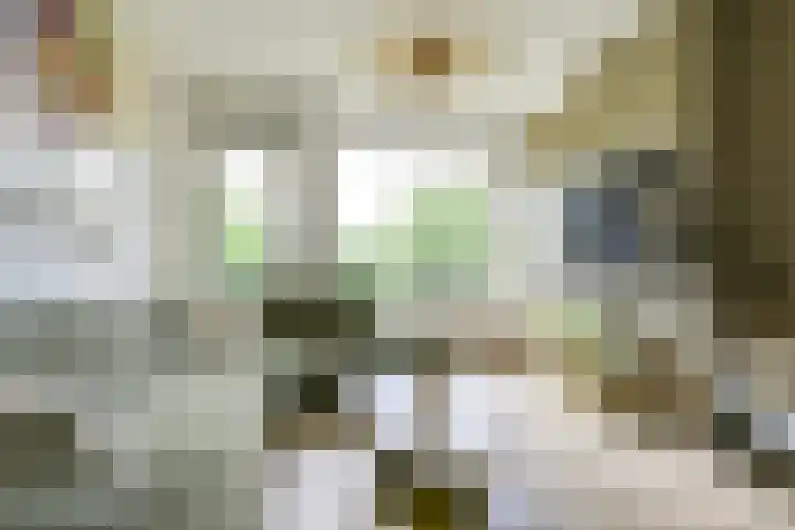 Lessinglaan 3 1 Utrecht thumbnail 8