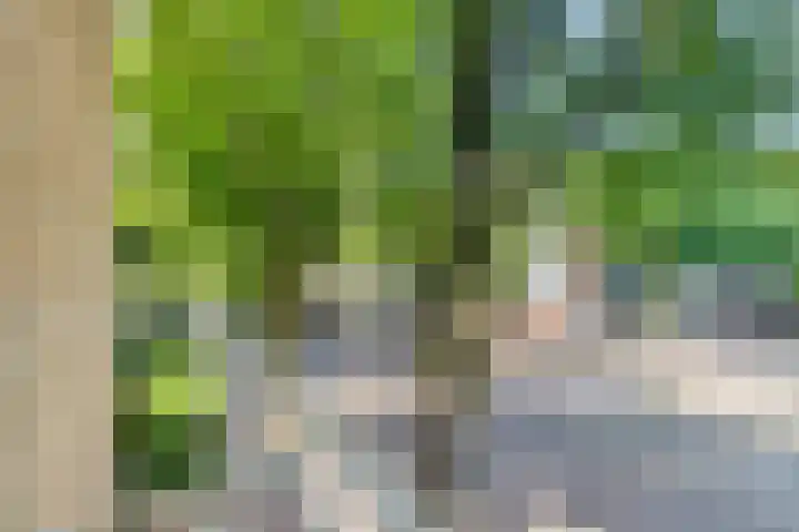 Lessinglaan 35 1 Utrecht thumbnail 13