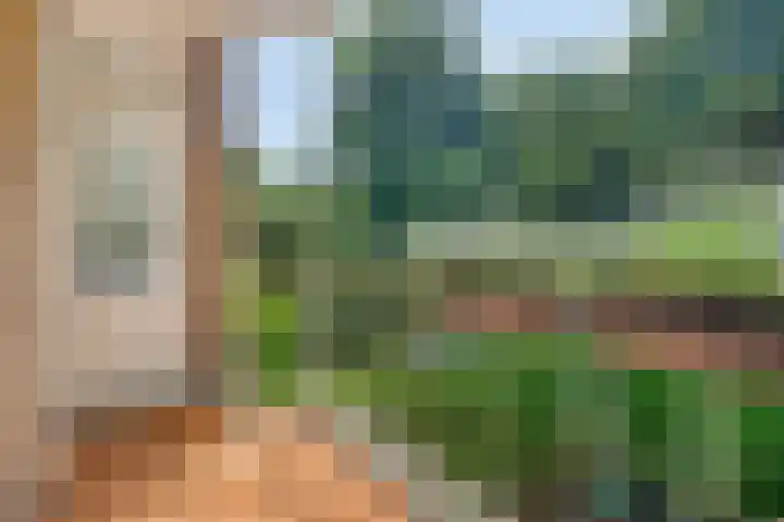 Lessinglaan 35 1 Utrecht thumbnail 19
