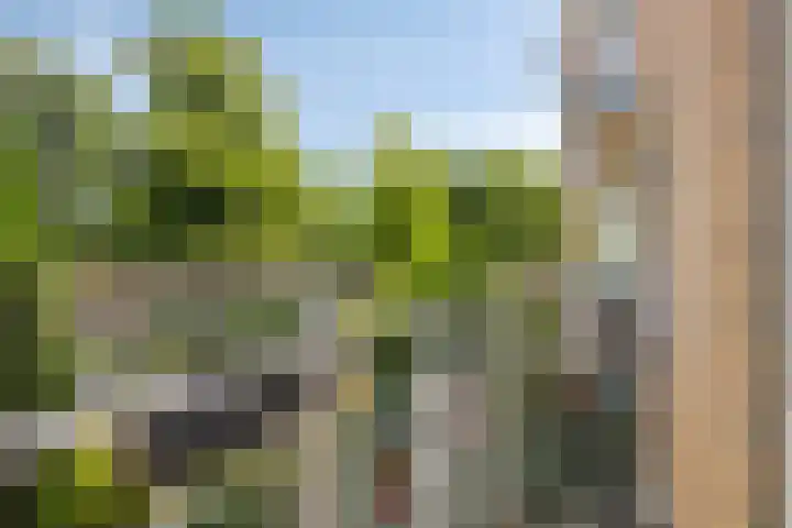 Lessinglaan 35 1 Utrecht thumbnail 25