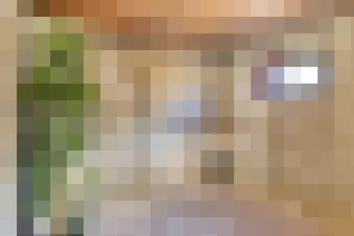 Lessinglaan 35 1 Utrecht thumbnail 31