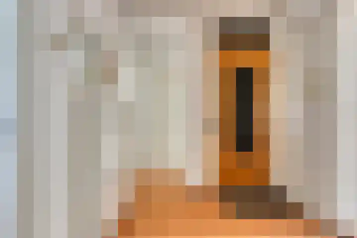 Lessinglaan 35 1 Utrecht thumbnail 6