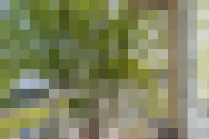 Lessinglaan 35 2 Utrecht thumbnail 10