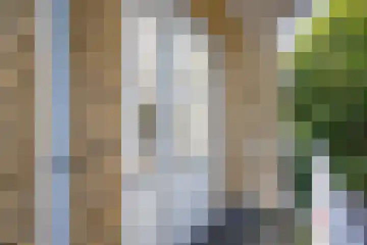 Lessinglaan 35 2 Utrecht thumbnail 11