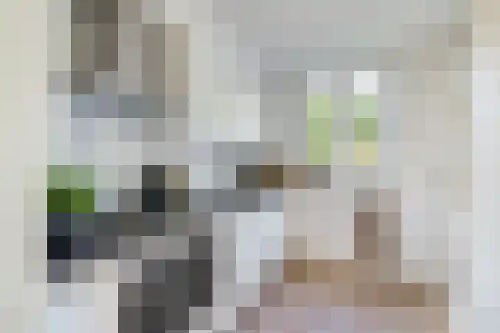 Lessinglaan 35 2 Utrecht thumbnail 13