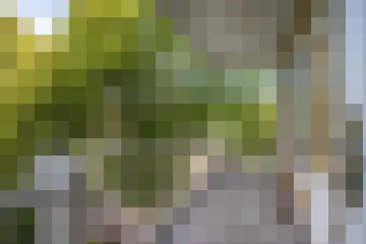 Lessinglaan 35 2 Utrecht thumbnail 15