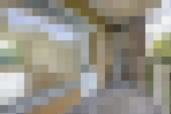 Lessinglaan 35 2 Utrecht thumbnail 16