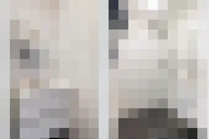 Lessinglaan 35 2 Utrecht thumbnail 26