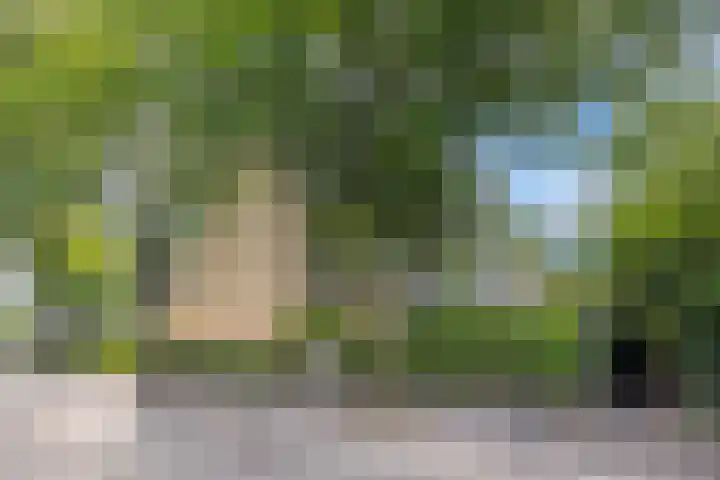 Lessinglaan 35 2 Utrecht thumbnail 30