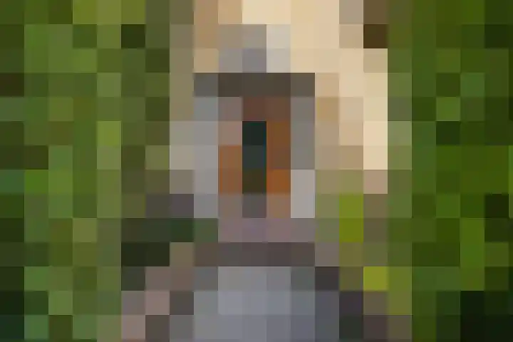 Lessinglaan 35 2 Utrecht thumbnail 4