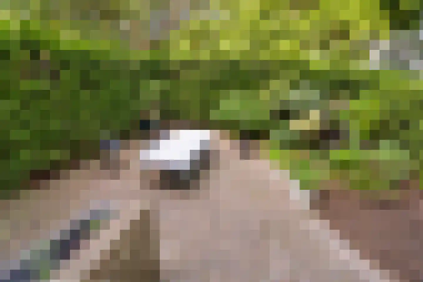 Lessinglaan 35 Utrecht thumbnail 25