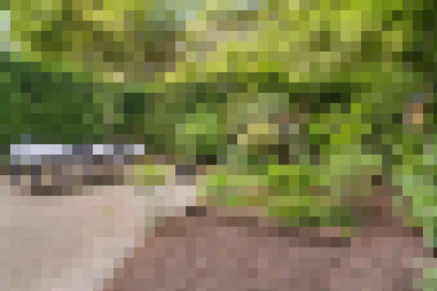 Lessinglaan 35 Utrecht thumbnail 26