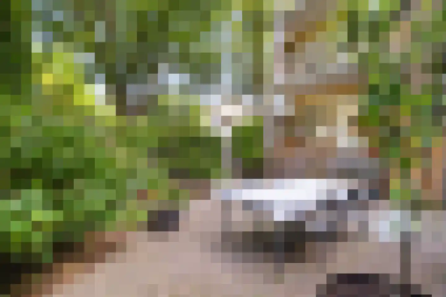 Lessinglaan 35 Utrecht thumbnail 28