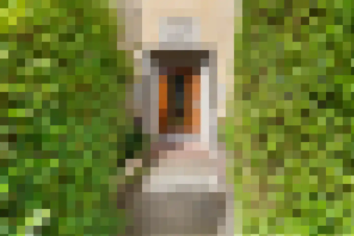 Lessinglaan 35 Utrecht thumbnail 43