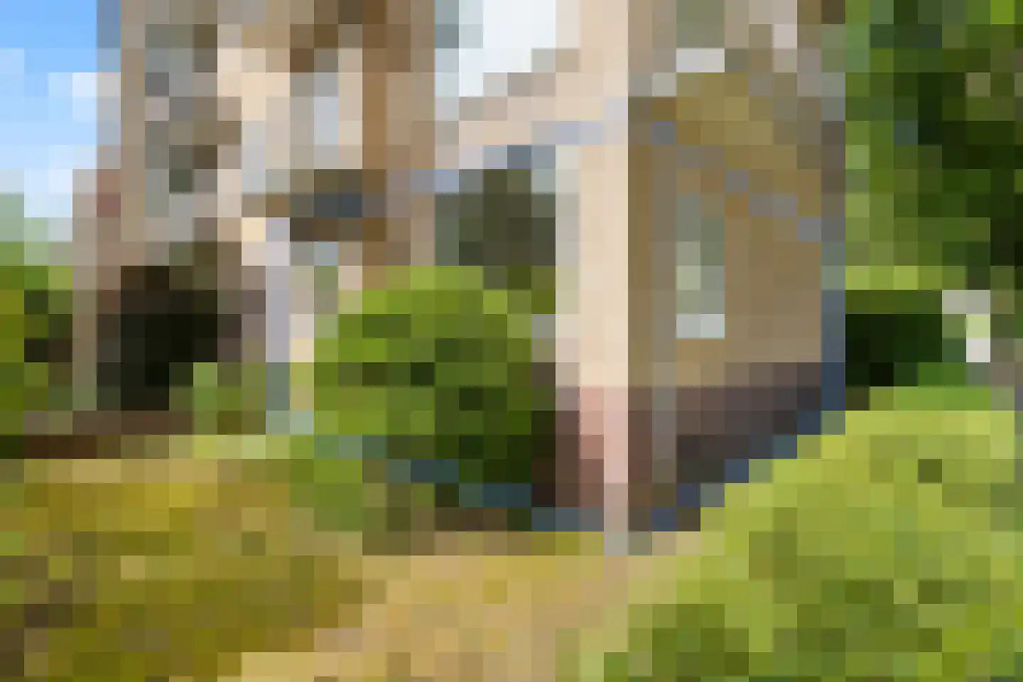 Lessinglaan 35 Utrecht thumbnail 44
