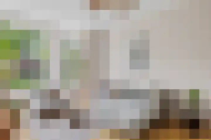 Lessinglaan 39 Utrecht thumbnail 10