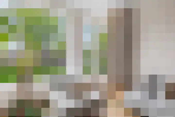 Lessinglaan 39 Utrecht thumbnail 11