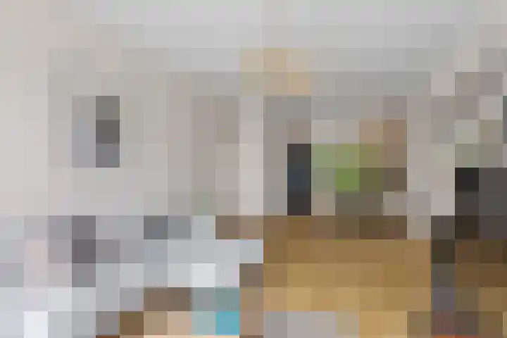 Lessinglaan 39 Utrecht thumbnail 13