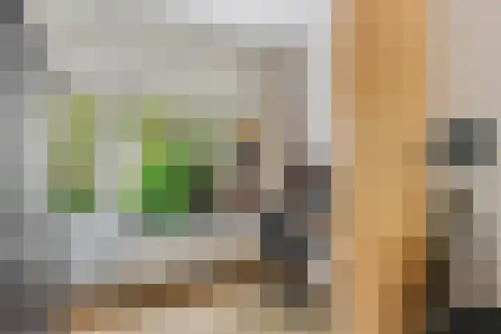 Lessinglaan 39 Utrecht thumbnail 16
