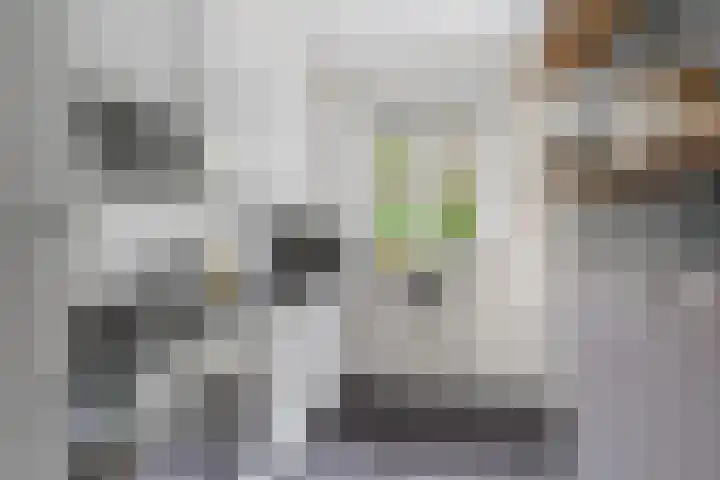 Lessinglaan 39 Utrecht thumbnail 18
