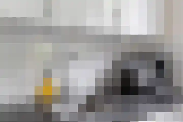 Lessinglaan 39 Utrecht thumbnail 19