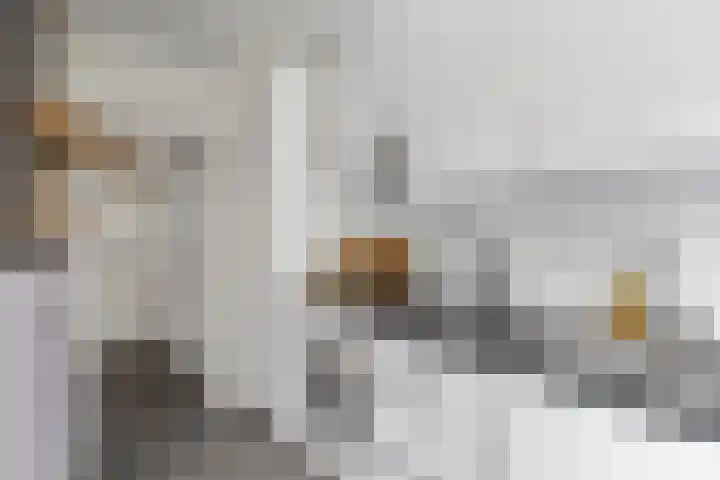 Lessinglaan 39 Utrecht thumbnail 22