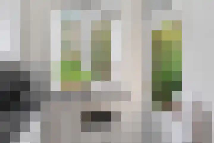 Lessinglaan 39 Utrecht thumbnail 24