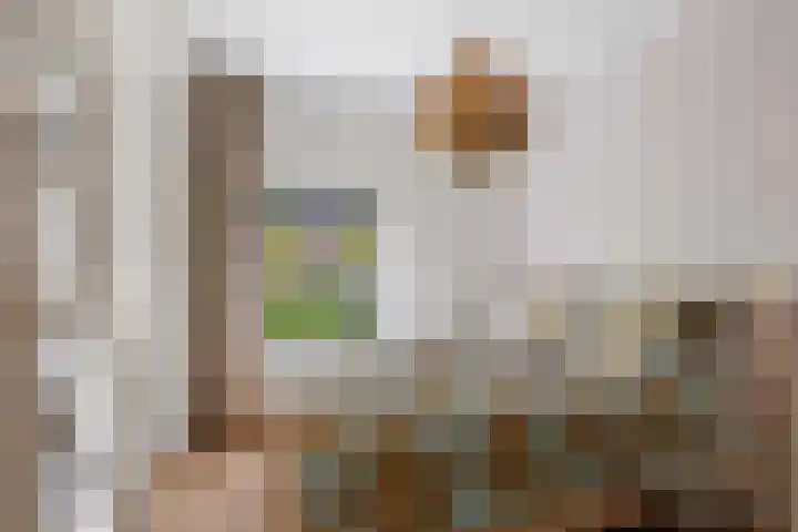 Lessinglaan 39 Utrecht thumbnail 26