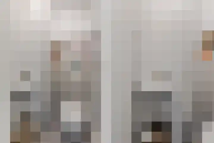 Lessinglaan 39 Utrecht thumbnail 30