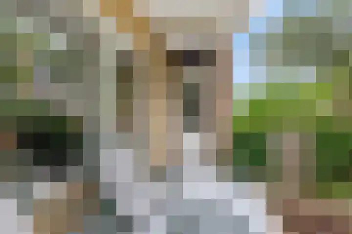 Lessinglaan 39 Utrecht thumbnail 32