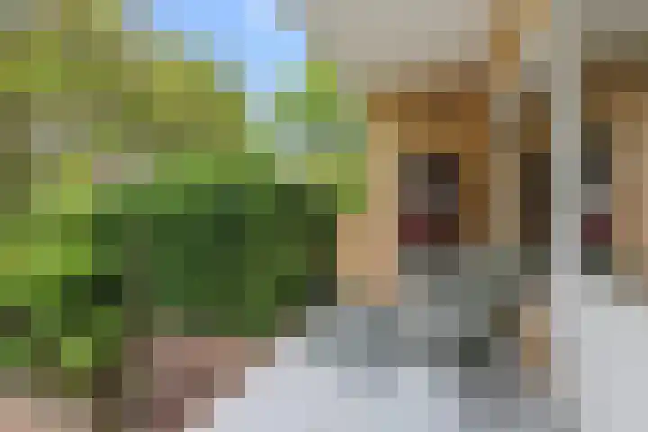 Lessinglaan 39 Utrecht thumbnail 33