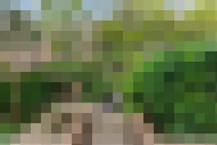 Lessinglaan 39 Utrecht thumbnail 34
