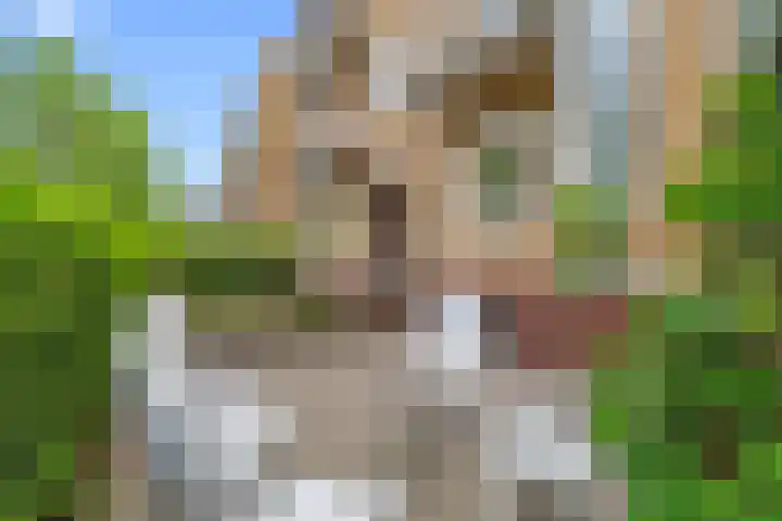 Lessinglaan 39 Utrecht thumbnail 38