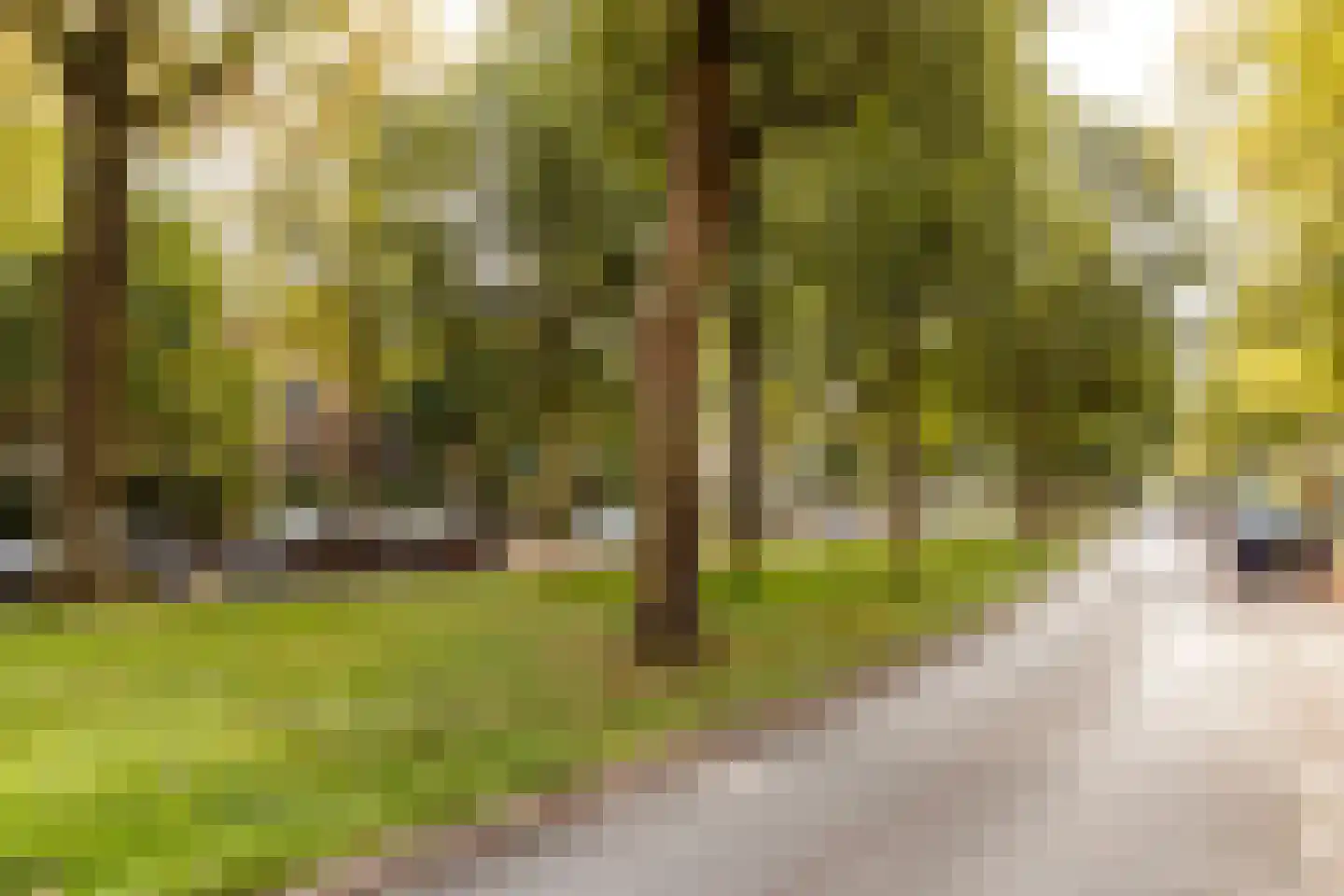 Lessinglaan 41 3 Utrecht thumbnail 26
