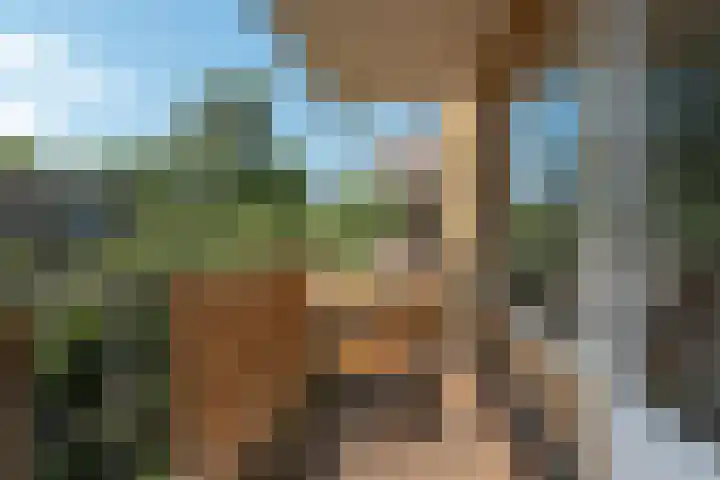 Lessinglaan 43 2 Utrecht thumbnail 11