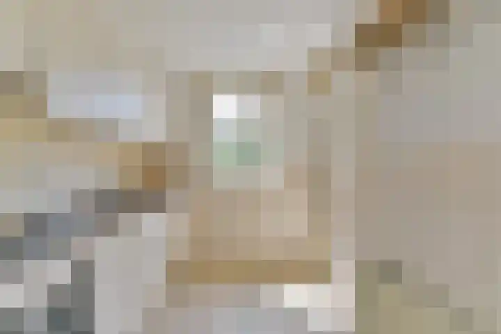 Lessinglaan 43 2 Utrecht thumbnail 14