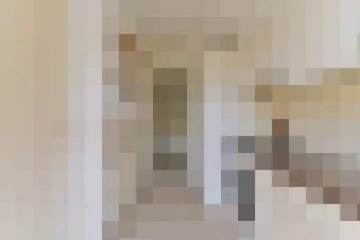 Lessinglaan 43 2 Utrecht thumbnail 16