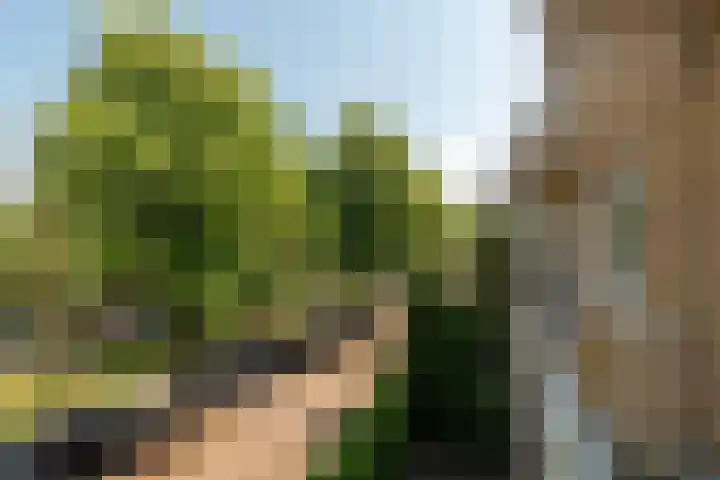 Lessinglaan 43 2 Utrecht thumbnail 19