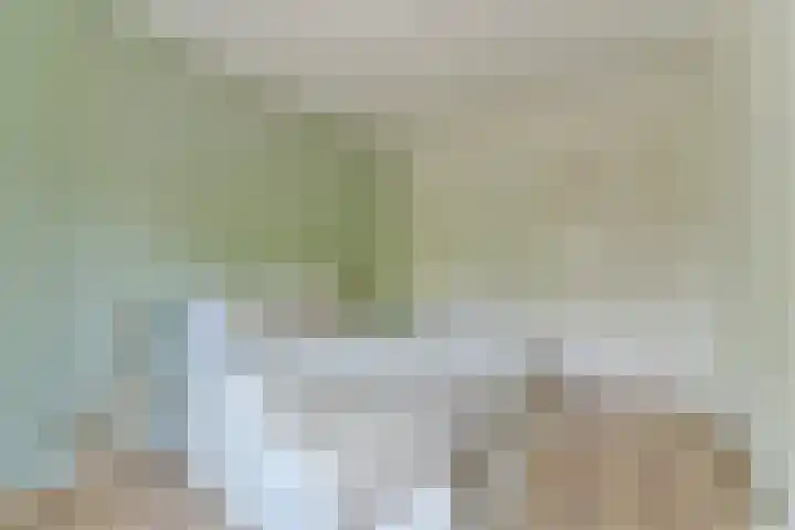 Lessinglaan 43 2 Utrecht thumbnail 20