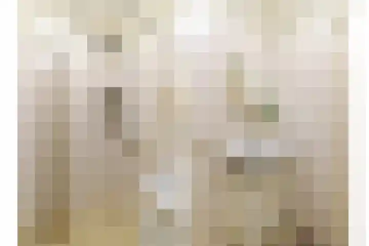 Lessinglaan 43 2 Utrecht thumbnail 24