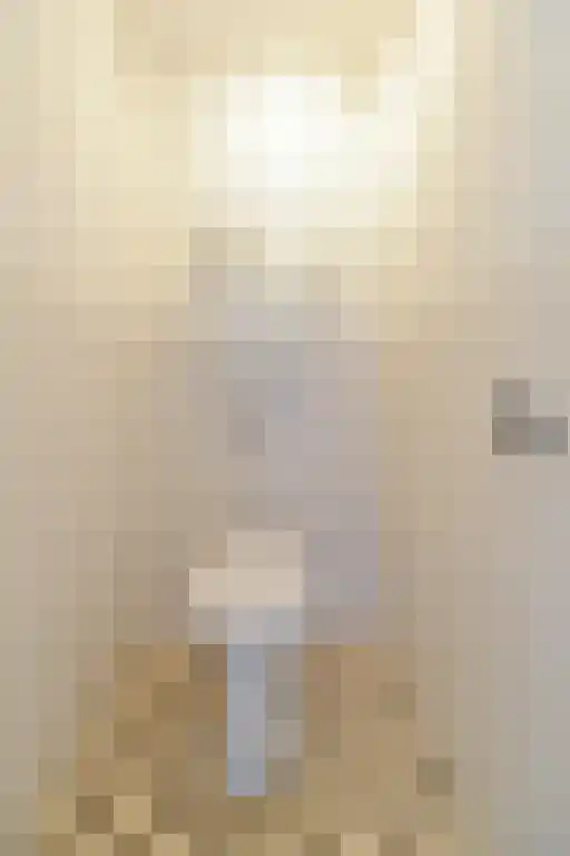 Lessinglaan 43 2 Utrecht thumbnail 25